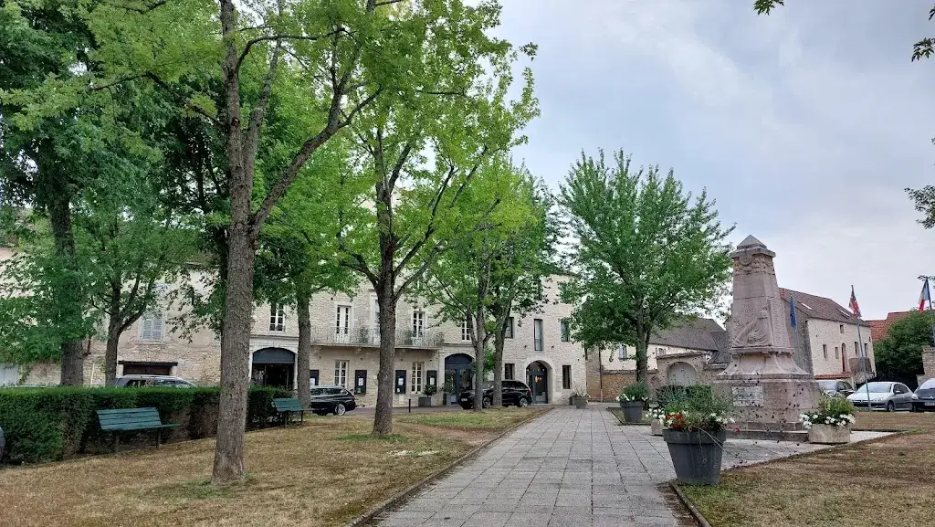 Luc Thys_Olivier Leflaive_Puligny-Montrachet_review