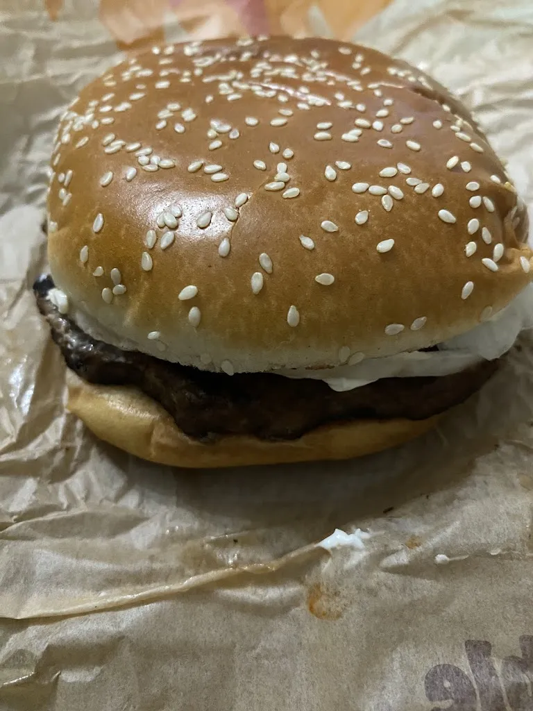 Burger King_Chasse-sur-Rhône_slider_image_3