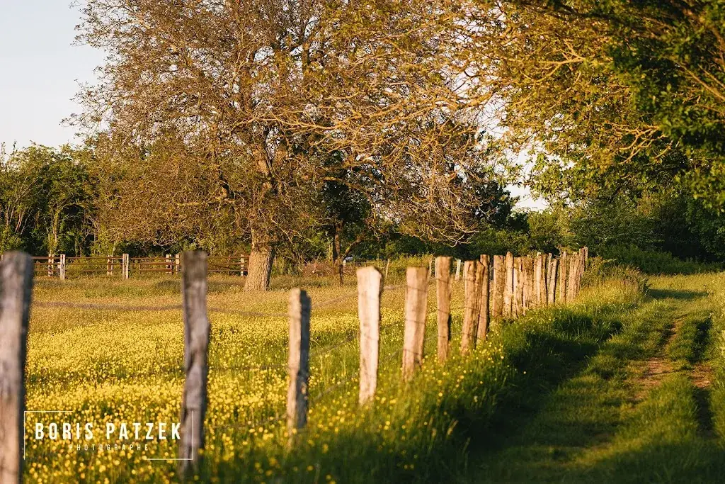 La Ferme du Petit Marais_Retonfey_slider_image_2