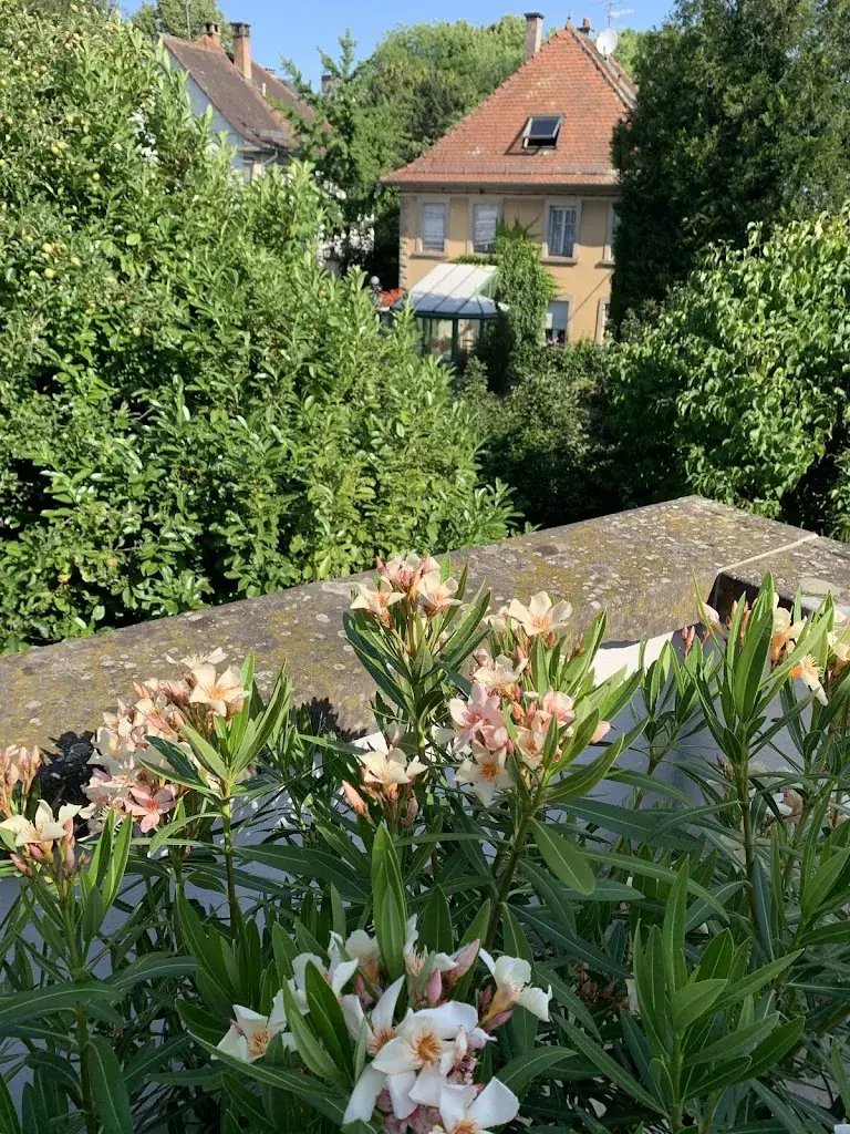 O'mac2 restaurant in Phalsbourg