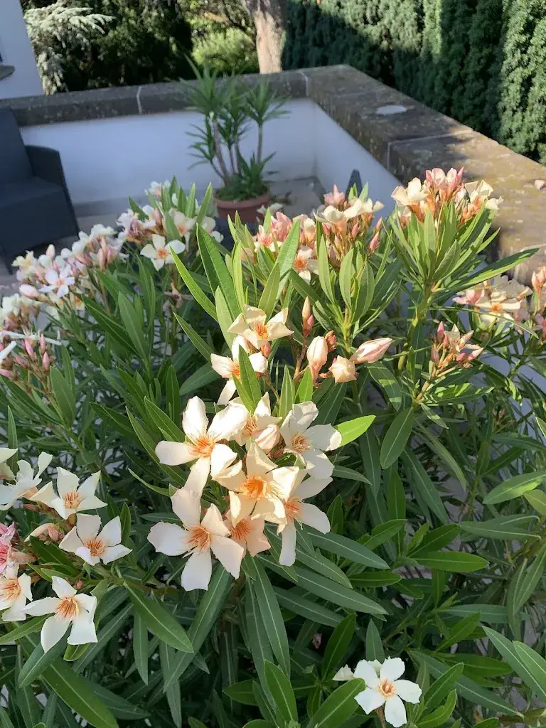 O'mac2_Phalsbourg_slider_image_2