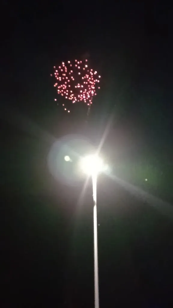 Cafe Du Port restaurant in Revin