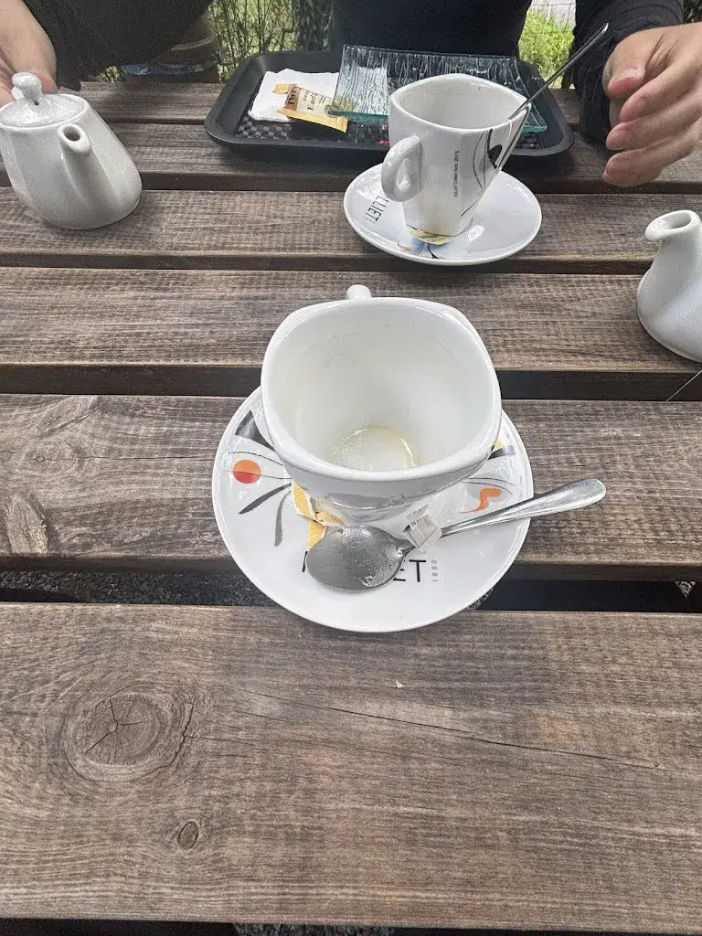 R ZrC_Aux Bois Amis_Revin_review