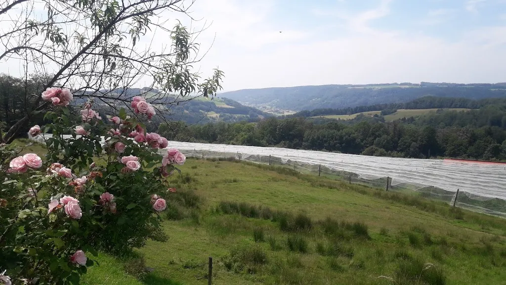 Auberge de la Ferme Saint Vallier_Girmont-Val-d'Ajol_slider_image_2