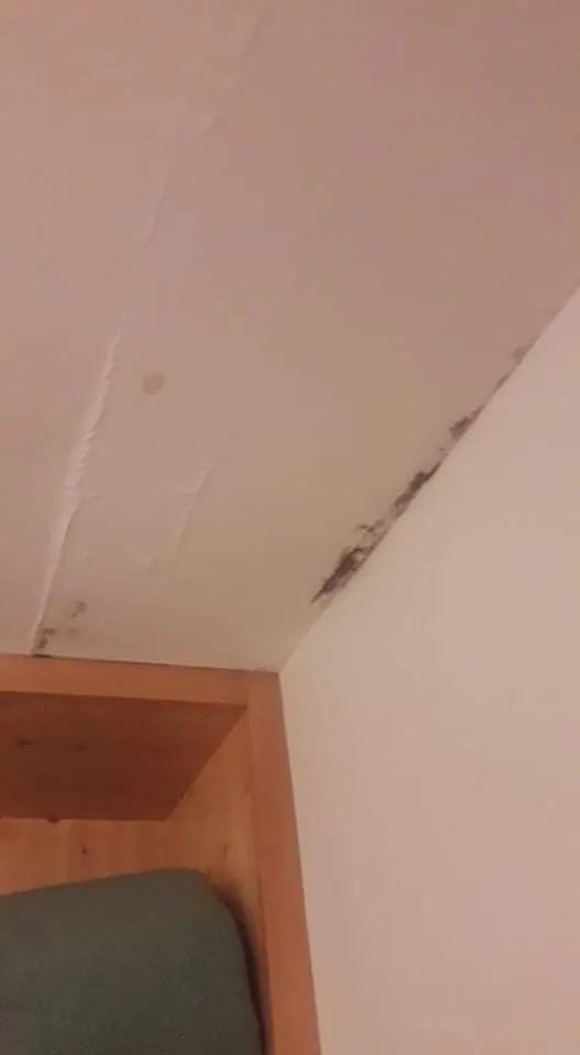 Laszlo Voga_Le Rosenmeer_Rosheim_review