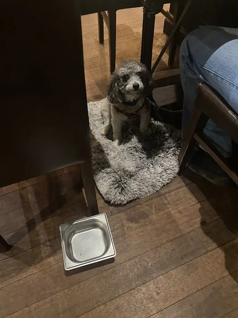 Navin Kumra_Le Square_Saint-Dié-des-Vosges_review