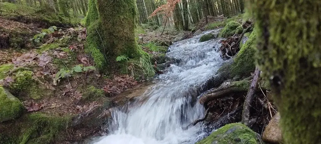 Les Hirondelles restaurant in Saint-Amé