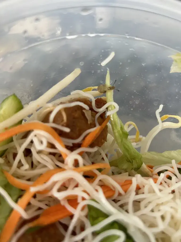 Menu_Wasa Sushi_Saint-Brice-Courcelles_image_1