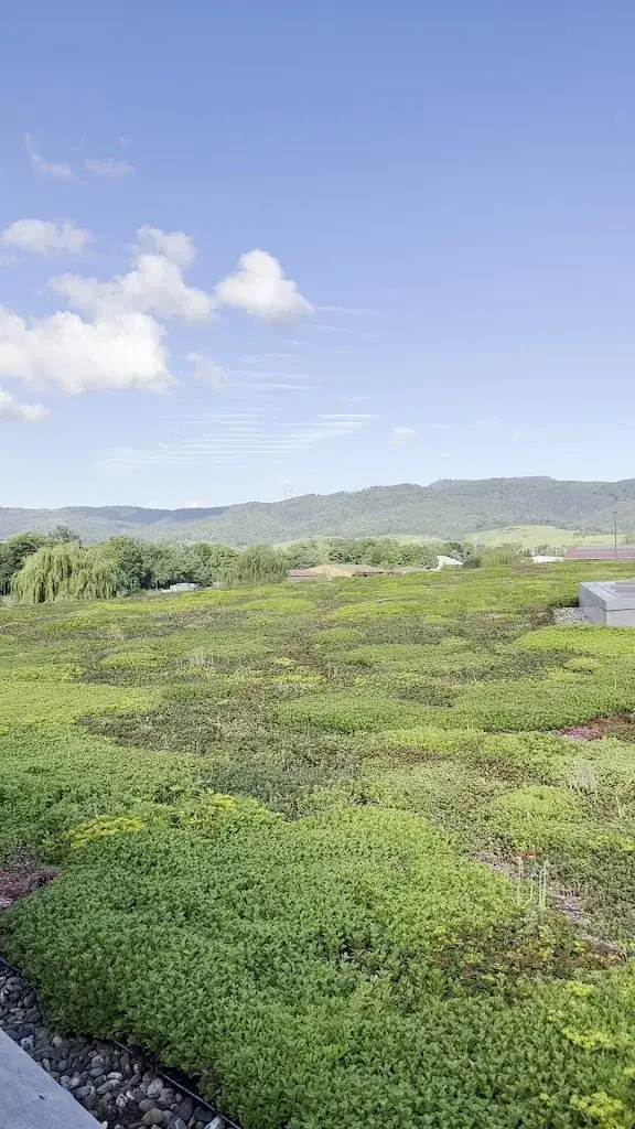 Sree Sreenivasan_Resort Barrière Ribeauvillé_Ribeauvillé_review