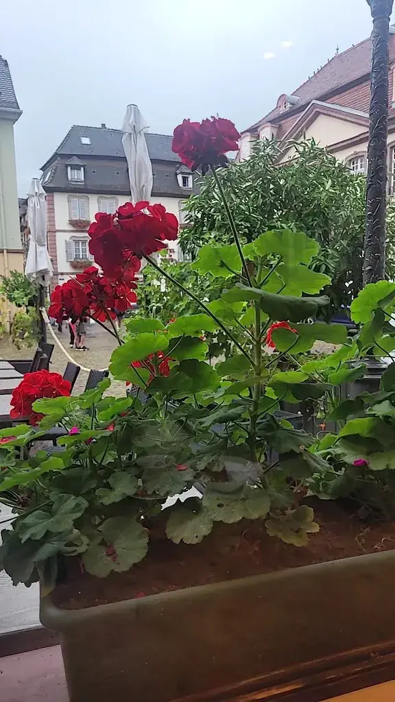 AU MARCHÉ - RIBEAUVILLÉ_Ribeauvillé_slider_image_2