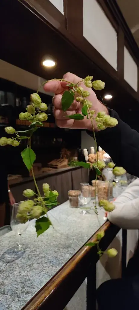 Menü_Microbrasserie de la Plaine bière l'Orhinoise_Sainte-Croix-en-Plaine_Bild_1