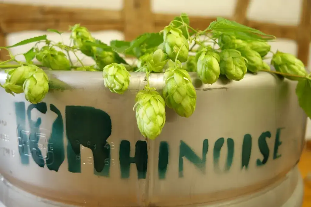 Menü_Microbrasserie de la Plaine bière l'Orhinoise_Sainte-Croix-en-Plaine_Bild_7