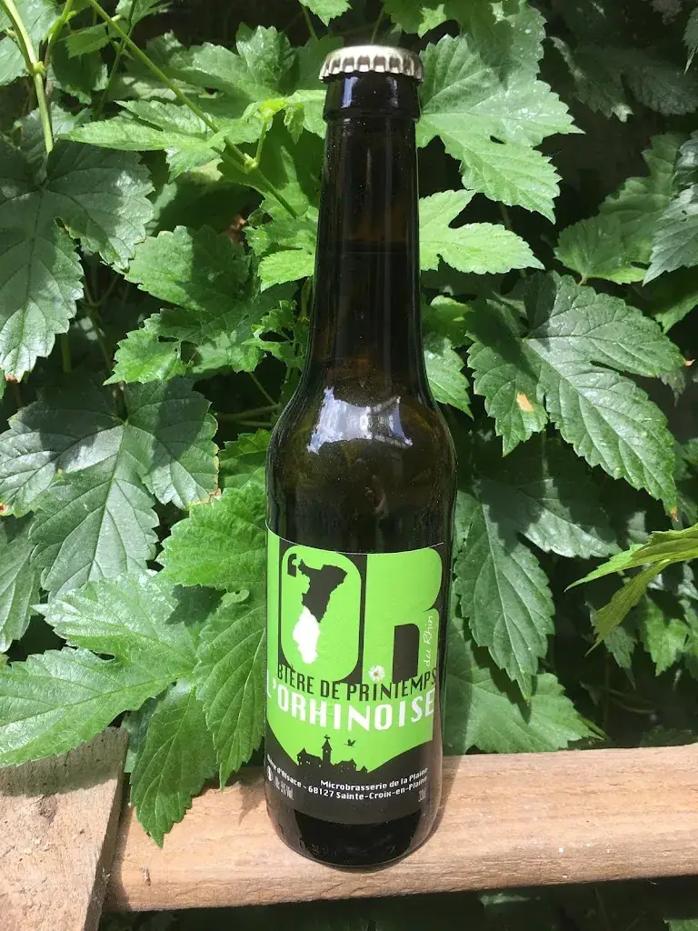 Menü_Microbrasserie de la Plaine bière l'Orhinoise_Sainte-Croix-en-Plaine_Bild_8