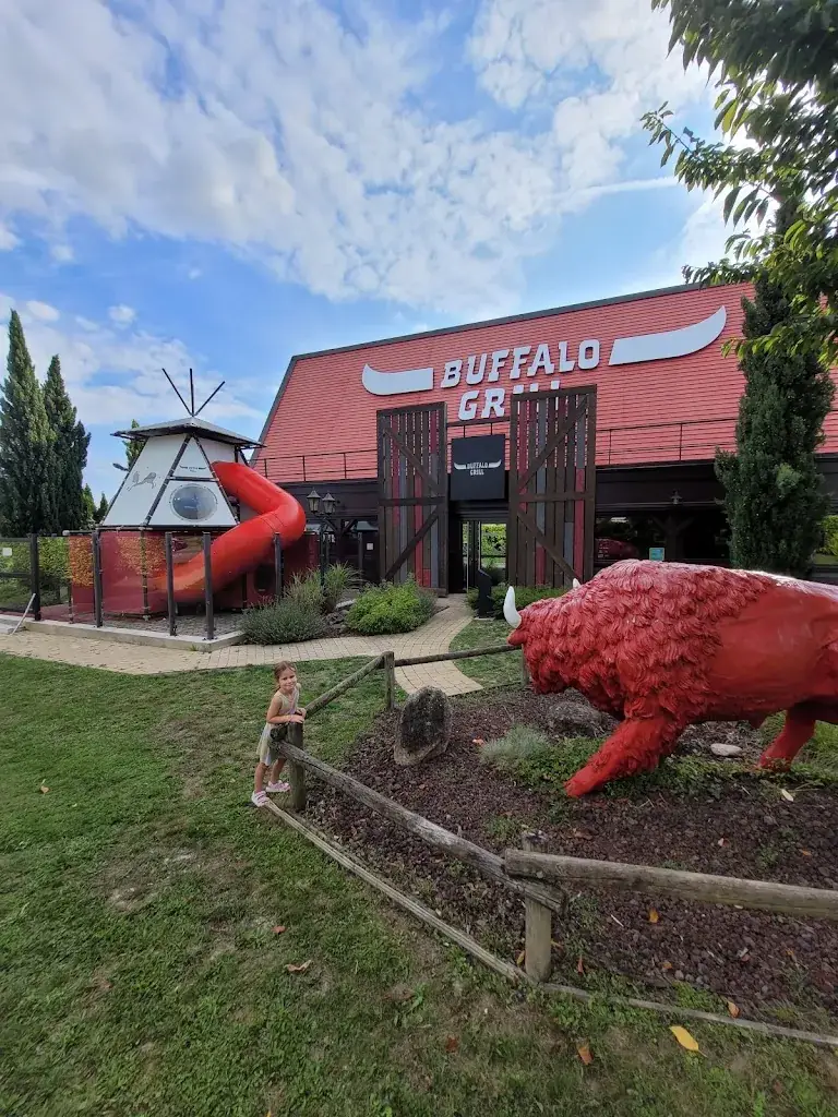 Annemieke van Elst_Buffalo Grill Saint-Parres-aux-Tertres_Saint-Parres-aux-Tertres_review