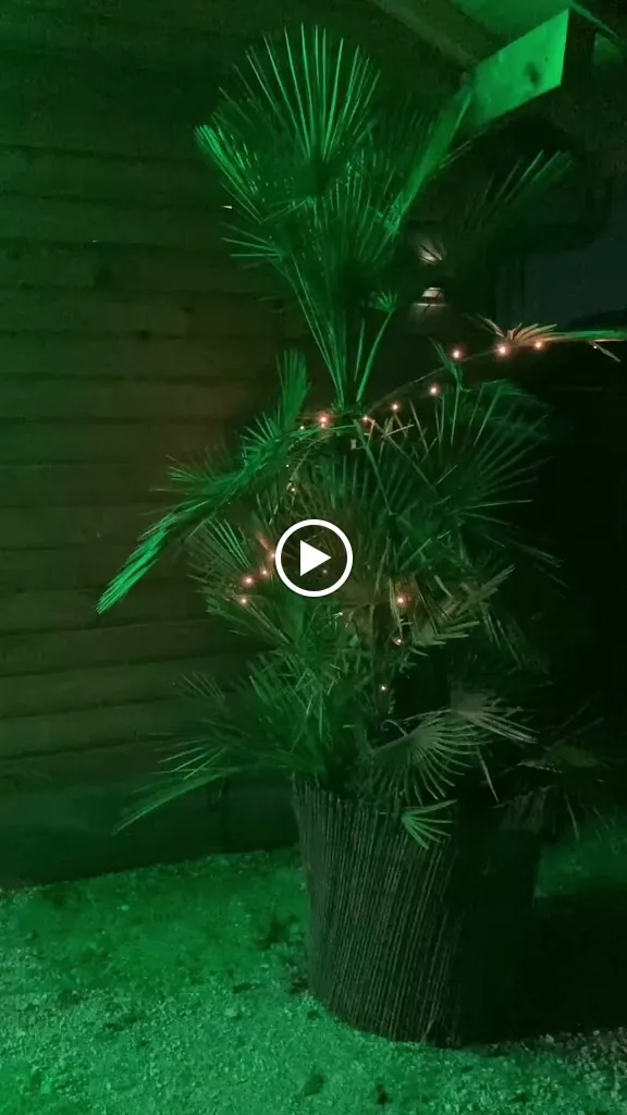 Pizzeria Villa palmiers_Chimilin_slider_image_2