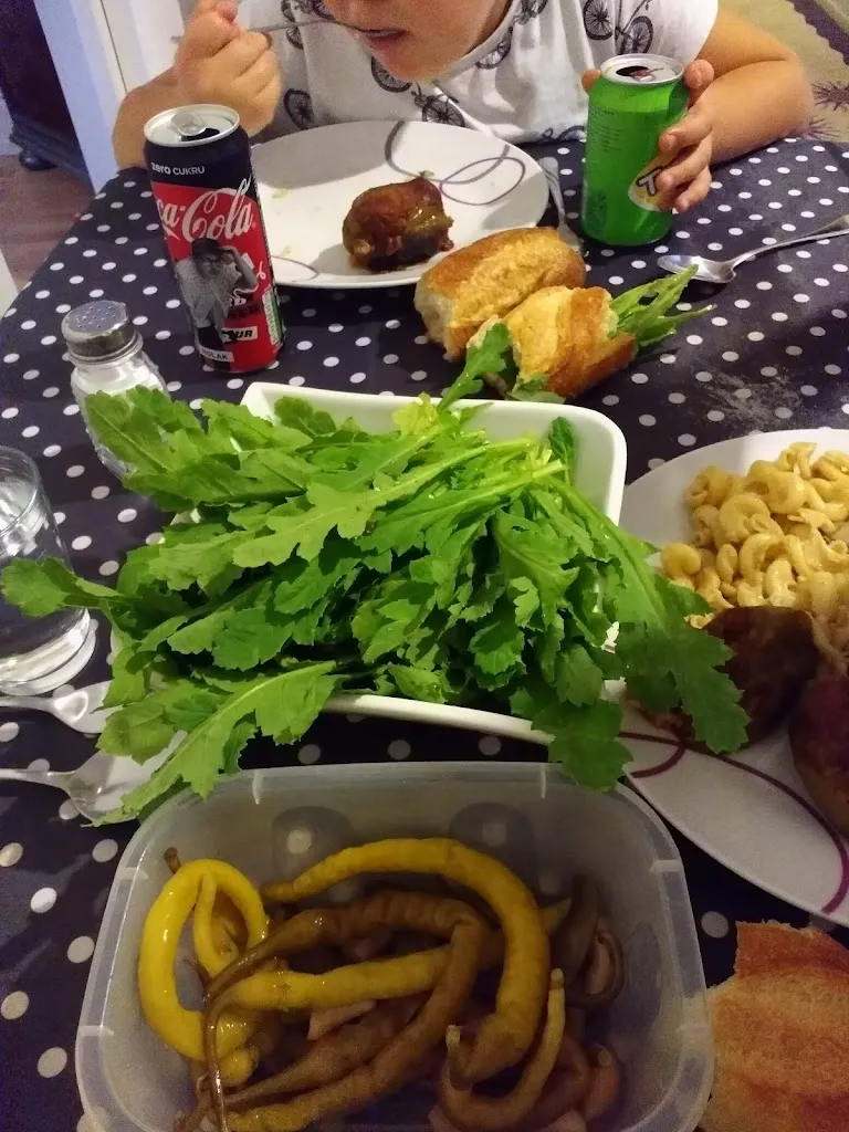 Menu_Le Crocodile Sarl_Sarralbe_image_7