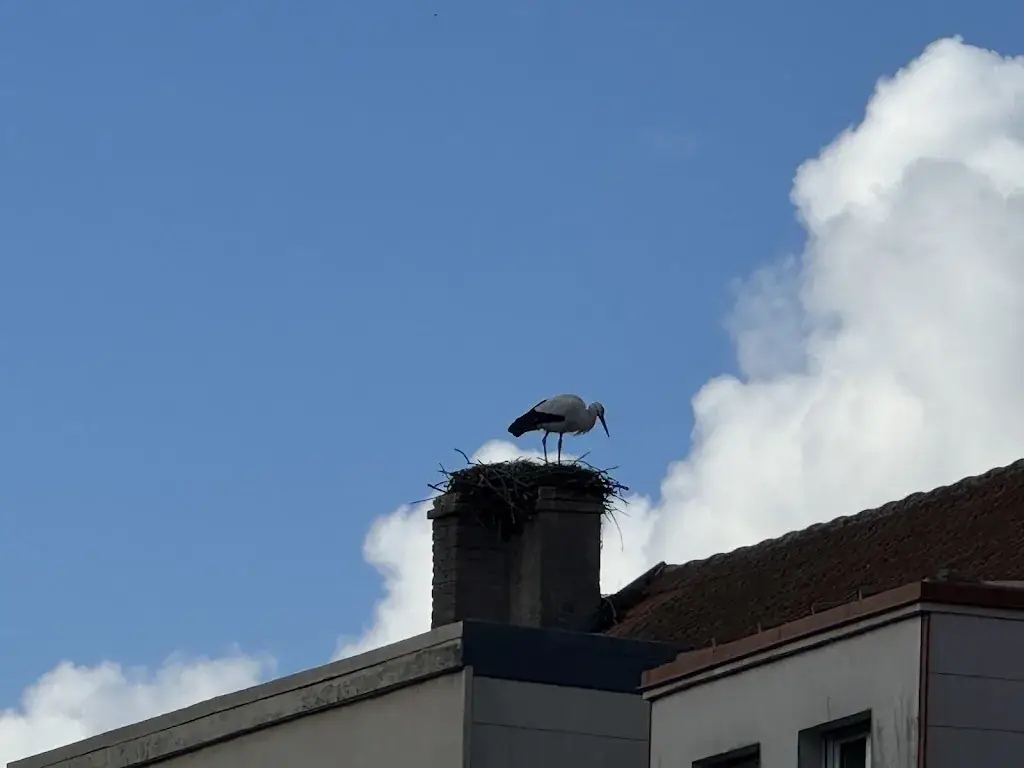 Sarralbe_Sarralbe_slider_image_3