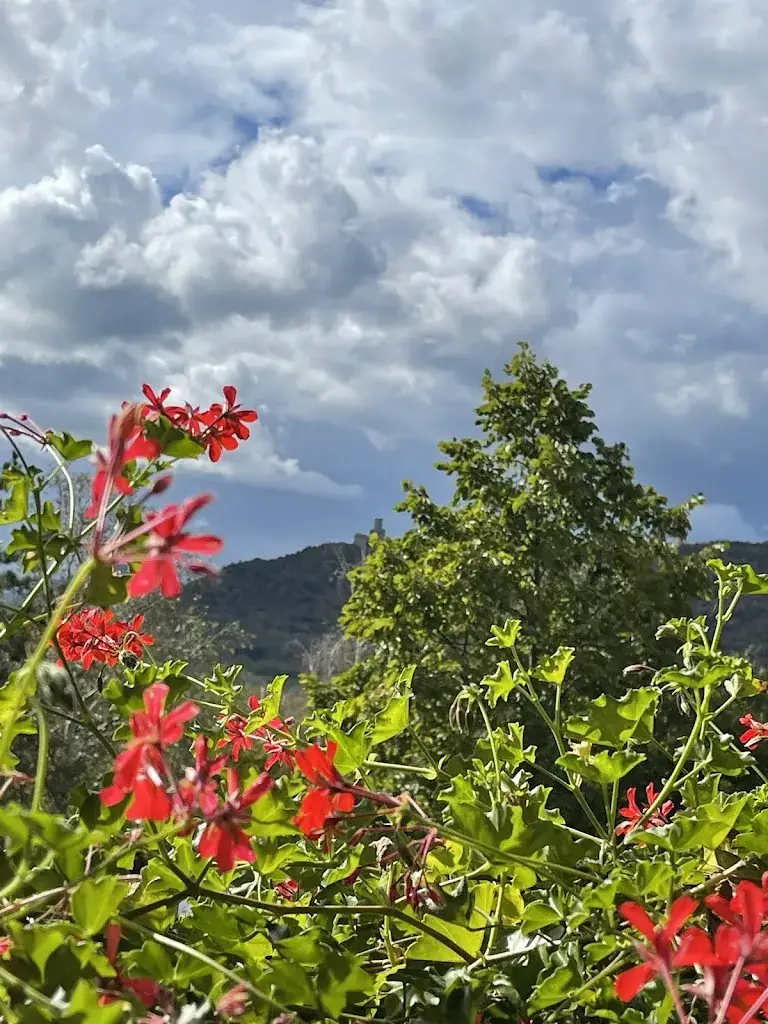 Charles MacKinnon_Logis Auberge Ramstein Hôtel-Restaurant_Scherwiller_review