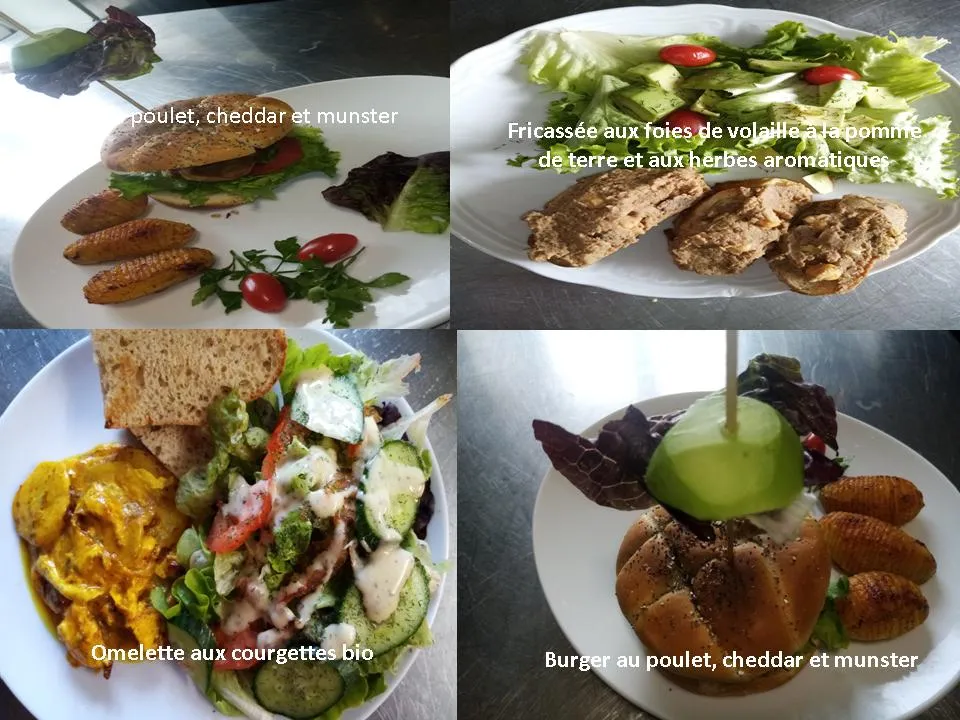 Menu_Salamandre Tachetée_Saulcy-sur-Meurthe_image_5