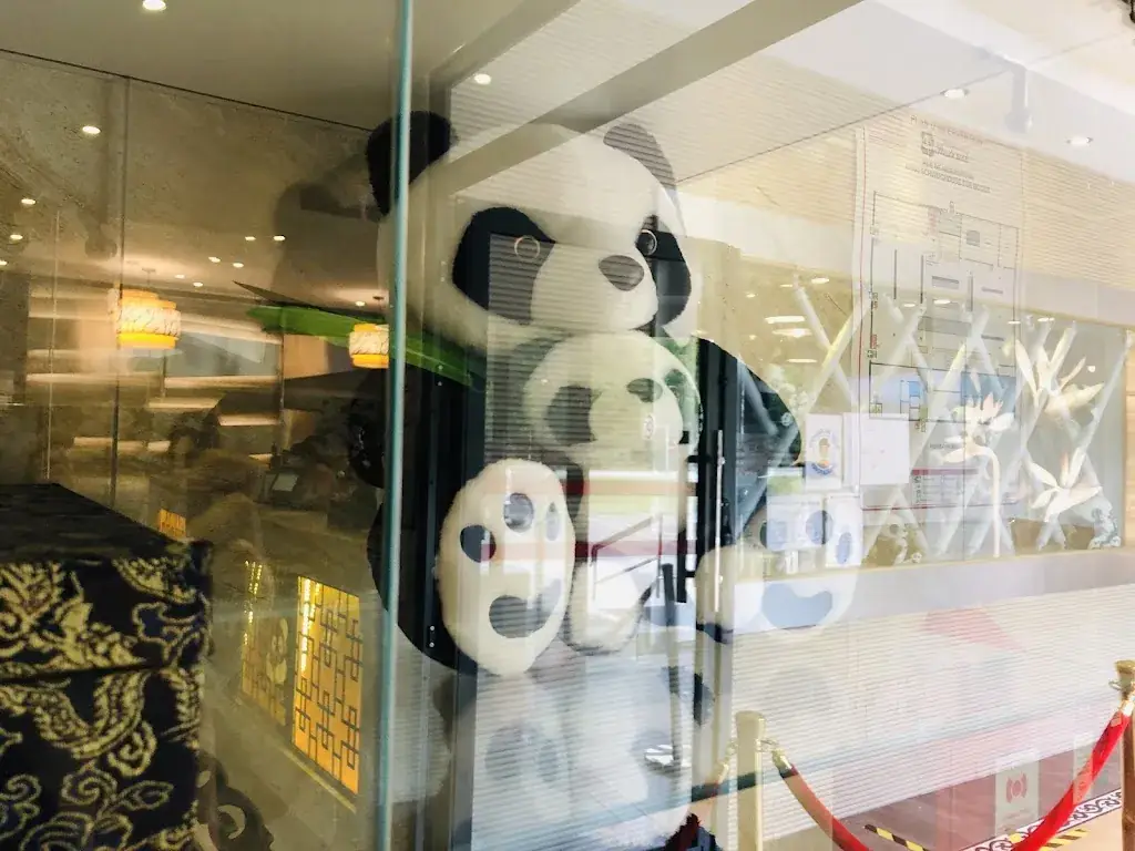 xiaoxiao Yang_Panda wok_Schweighouse-sur-Moder_recensione