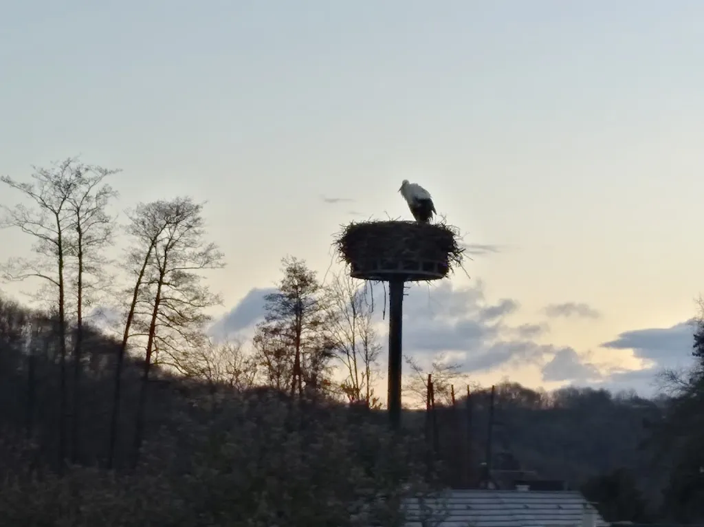 Hôtel Au Vieux Tilleul_Sentheim_slider_image_2