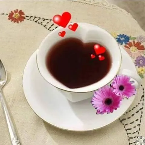 Menu_TACOS KEBAB_Sermaize-les-Bains_image_8