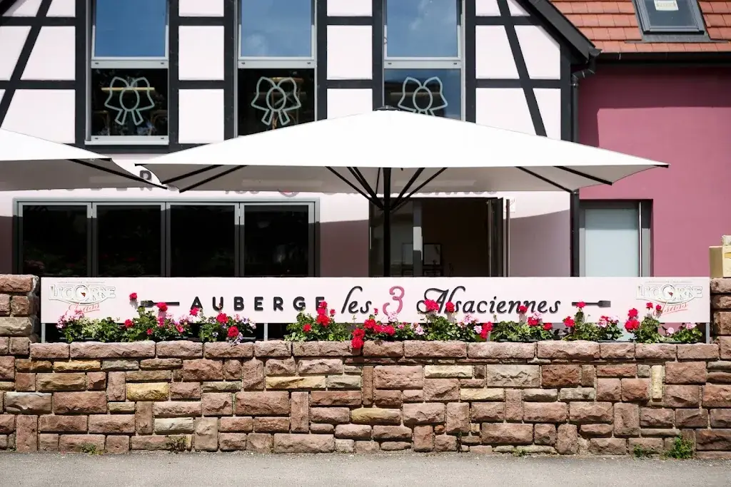 Auberge les 3 Alsaciennes_Vignoble_slider_image_3