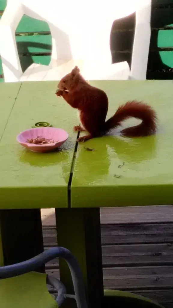Menu_Au rendez-vous des pêcheurs_Chaudes-Aigues_image_2