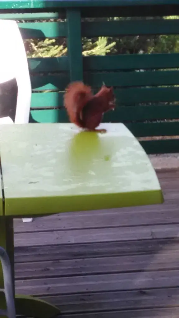 Menu_Au rendez-vous des pêcheurs_Chaudes-Aigues_image_9