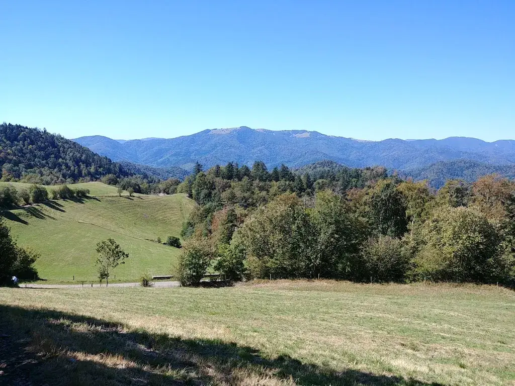 John Maletka_Ferme-auberge du Kohlschlag_Soultz-Haut-Rhin_review