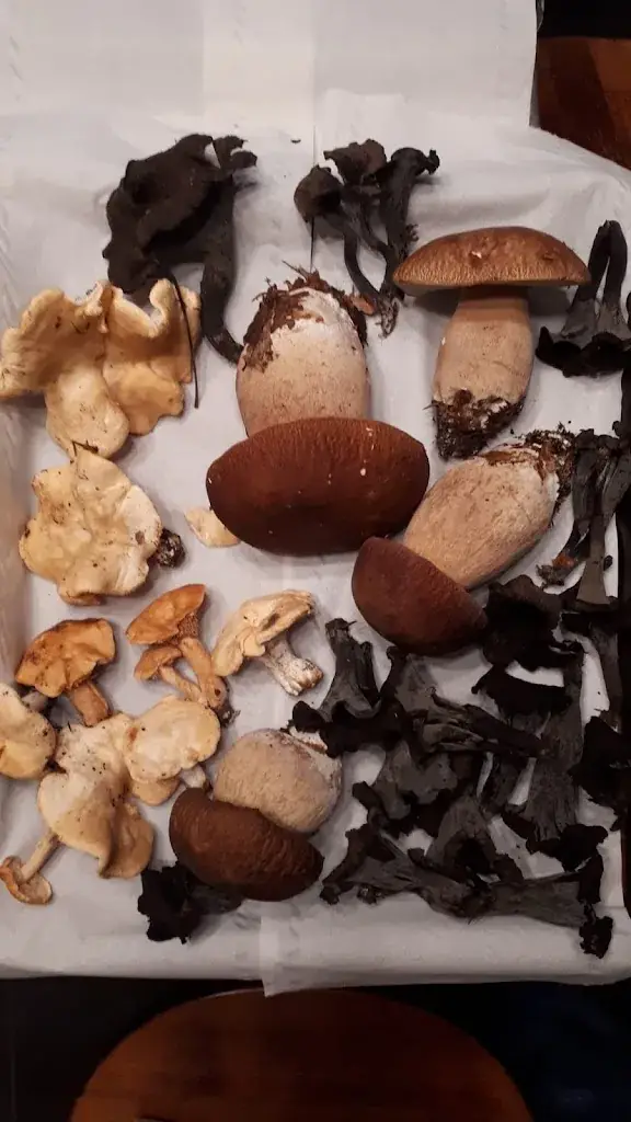 Menu_La Diligence, Restaurant, Saint-Louis, Winstub, Alsace, Tarte Flambée, Steak Tartare Maison, Terrasse, Parking À Proximité._Saint-Louis_image_9