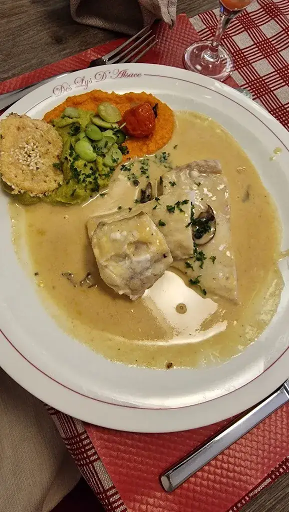 Ando RANDRIAMASY_RESTAURANT _ DES LYS D'ALSACE_Saint-Louis_review