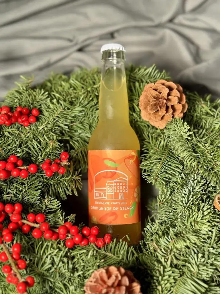 Menu_Brasserie Papyllon_Sierck-les-Bains_image_3