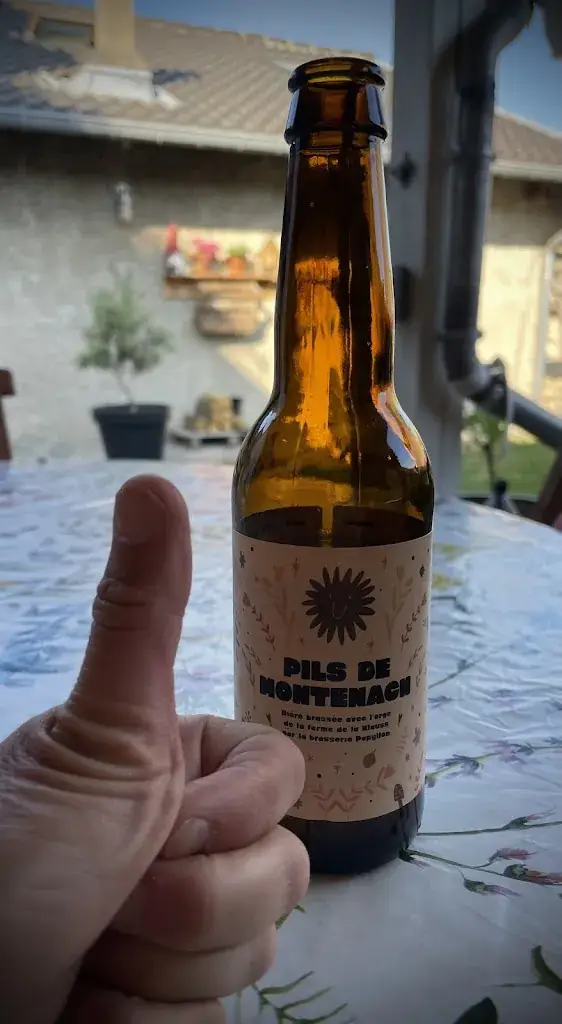 Menu_Brasserie Papyllon_Sierck-les-Bains_image_6