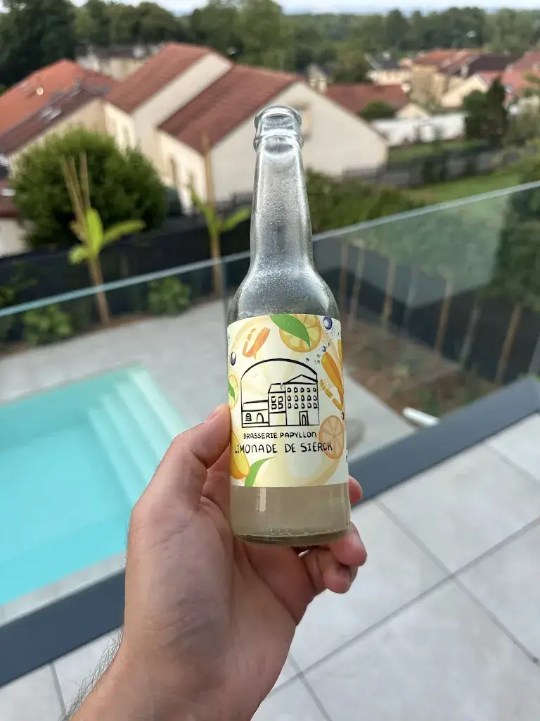 Cihan Cengiz_Brasserie Papyllon_Sierck-les-Bains_review