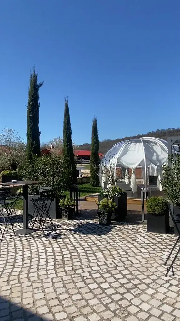 Марина Гуцул_Domaine de la Klauss_Montenach_review