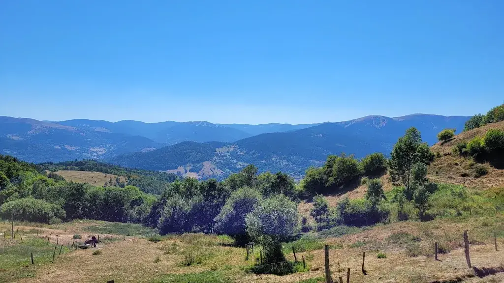 Roger Khoury_FERME AUBERGE GLASBORN LINGE_Soultzeren_review