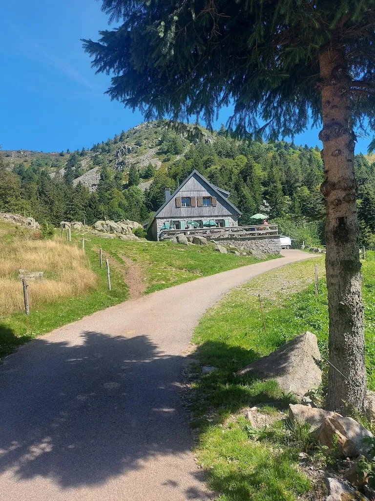 Phipsi K_Ferme Auberge du Lac de Forlet_Soultzeren_review