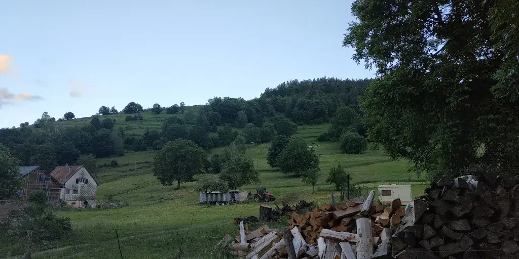 Sorti du passé, Un savoir oublié._Restaurant au tapis rouge_Stosswihr_Bewertung