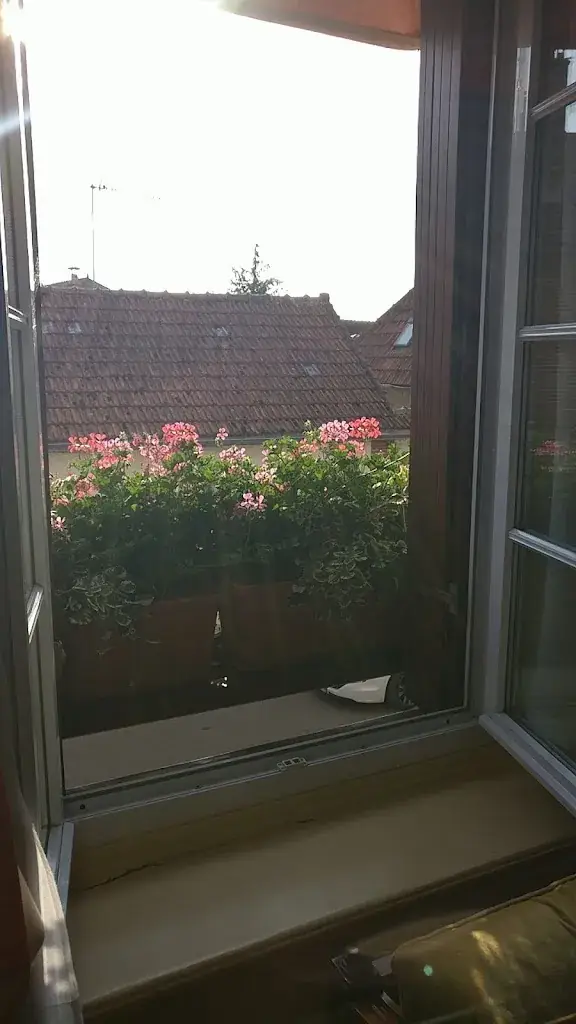 Christian Tecca_Logis Hôtel le Relais Champenois et du Lion d'Or_Sézanne_review