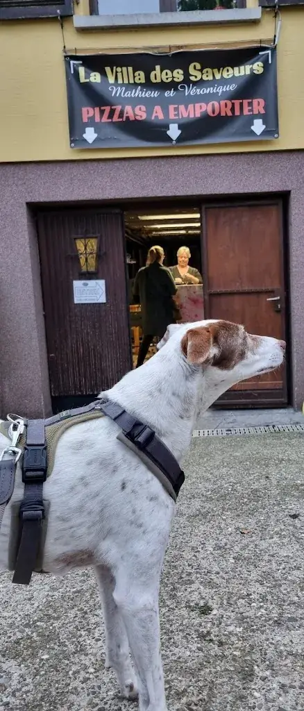 Michael Siebenkäs_La villa des Saveurs_Sundhoffen_avis