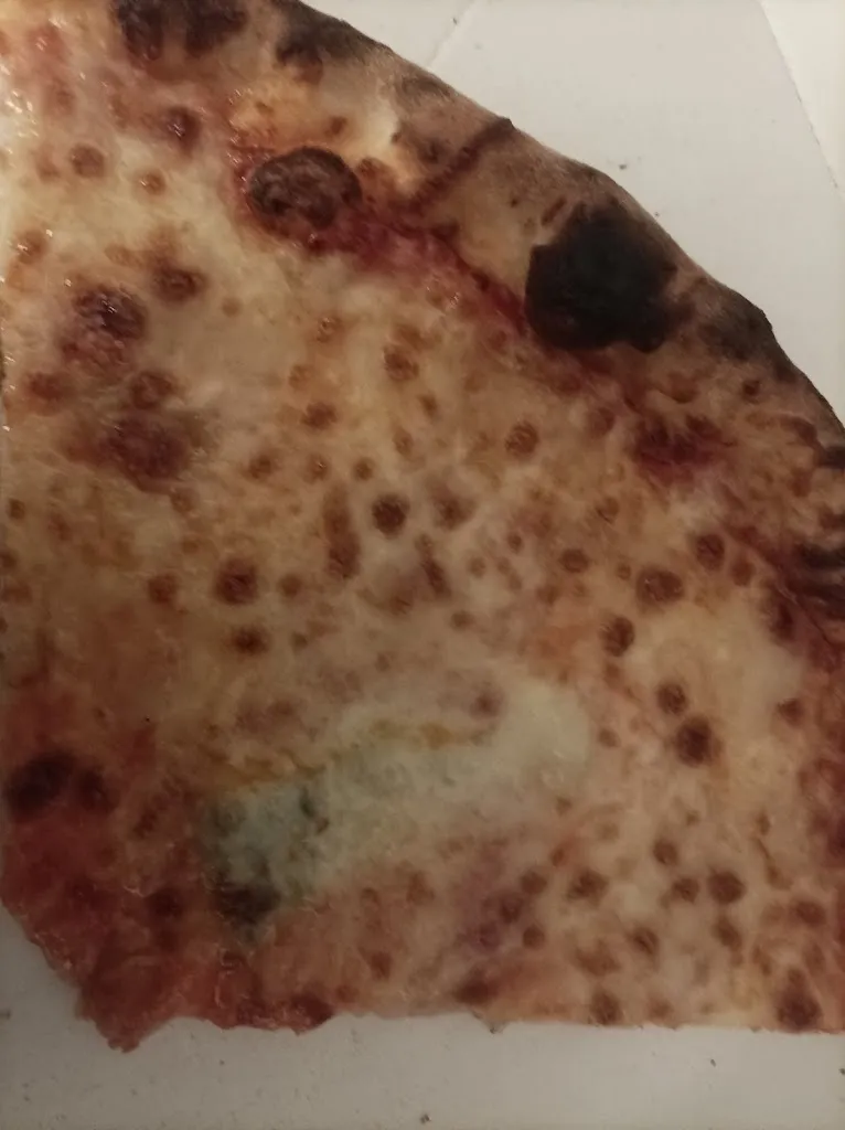 Marie Jo Oster_Piccola Casa_Sundhouse_review