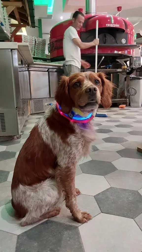 R., M. & fils R., M. & fils_La Piazza_Talange_review