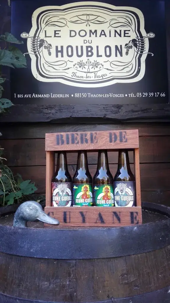 Le Domaine Du Houblon_Thaon-les-Vosges_slider_image_1