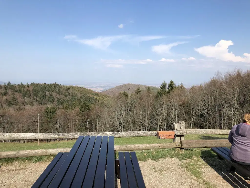 Fred US_Ferme Auberge du Molkenrain_Wattwiller_review