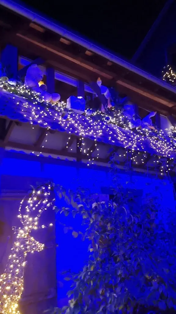 Alexandru Gavrila_Restaurant Aux Trois Geese_Valff_review