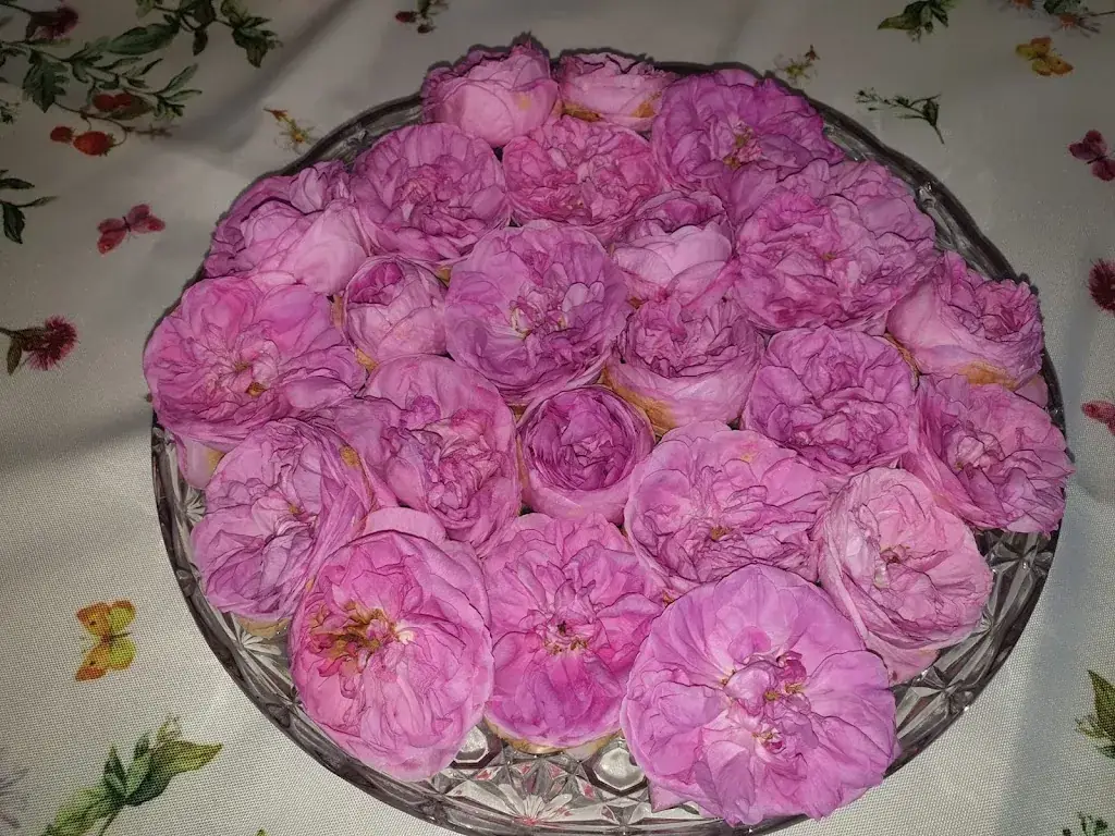 GUY REICH_Restaurant du Tilleul_Valff_review