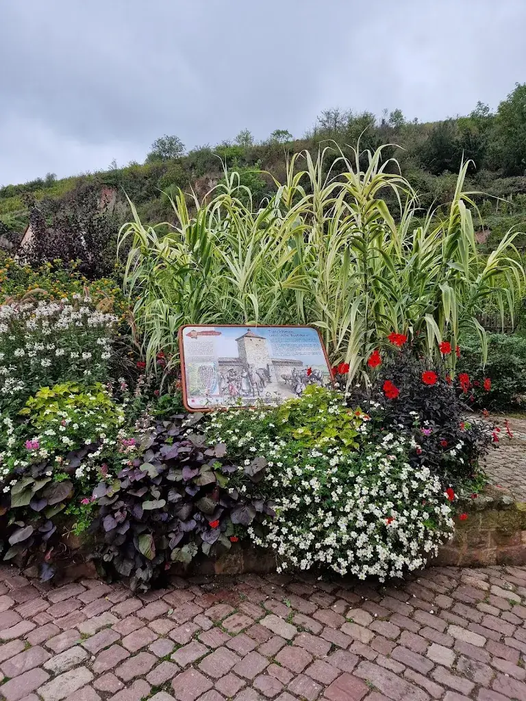 Attilio Perna_Auberge du Brand_Turckheim_review