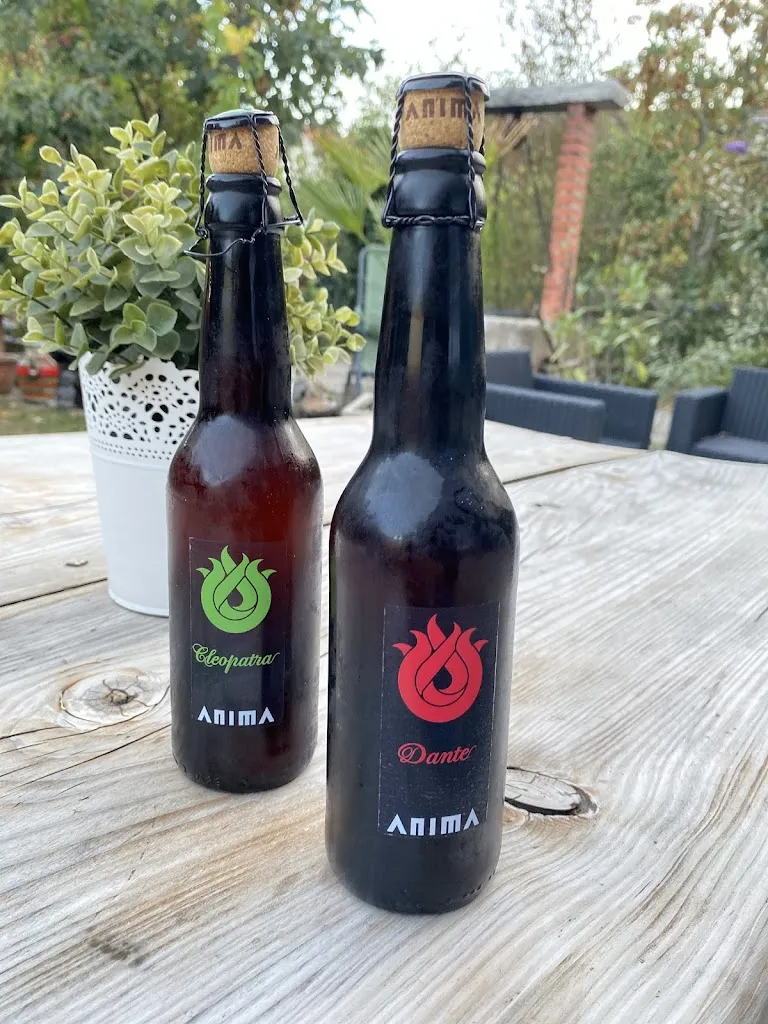 Angela Barnard_Agostino & Co_Turckheim_review