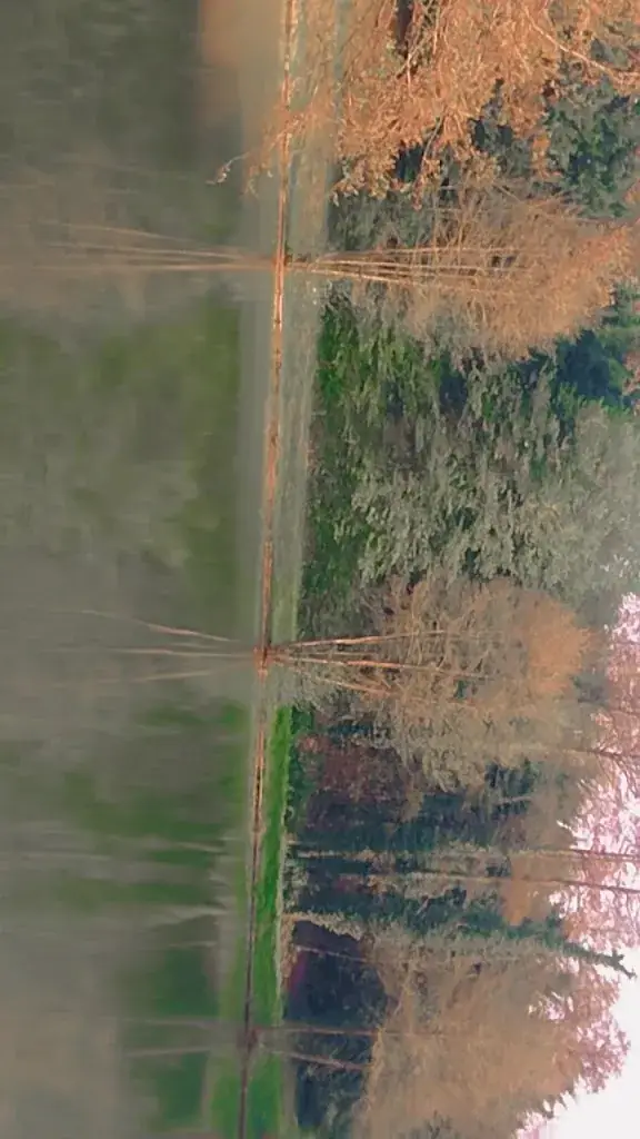 EBELLE SCOPIE_Le Domaine du Loup_Uckange_review